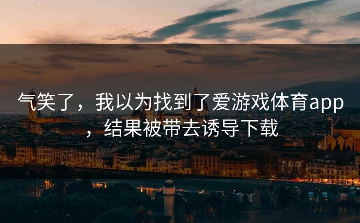 气笑了，我以为找到了爱游戏体育app，结果被带去诱导下载
