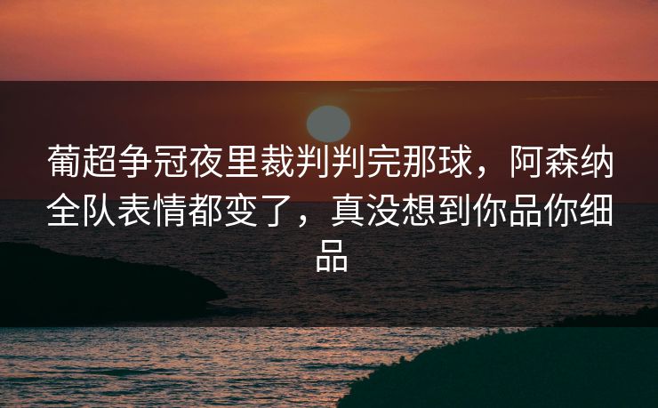 葡超争冠夜里裁判判完那球，阿森纳全队表情都变了，真没想到你品你细品