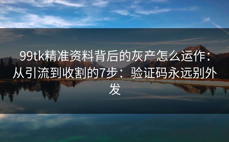99tk精准资料背后的灰产怎么运作：从引流到收割的7步：验证码永远别外发