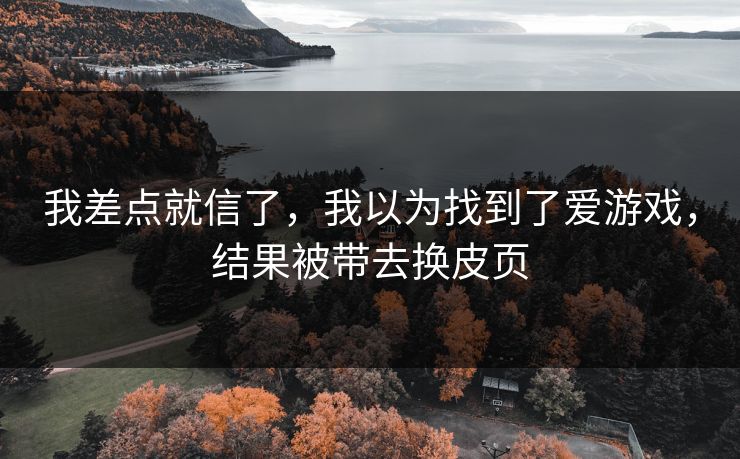我差点就信了，我以为找到了爱游戏，结果被带去换皮页